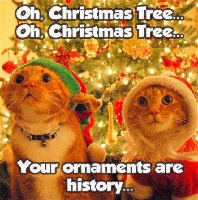20 Funny Christmas Pictures – FunnyFoto - Page 6