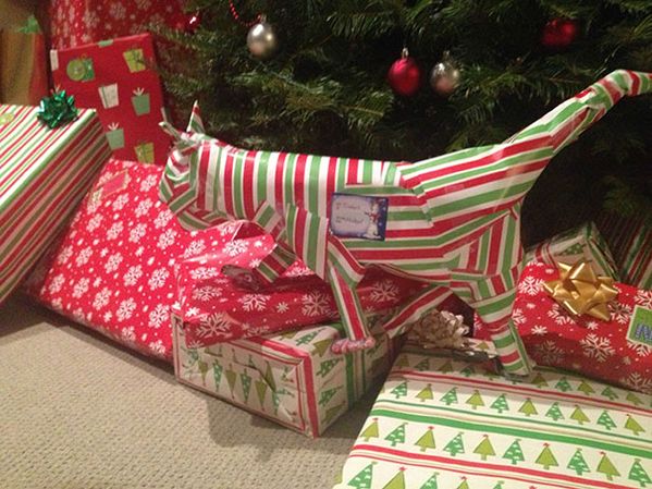 150 Funniest Christmas Gift Ideas FunnyFoto Page 33