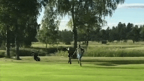 some-animals-just-want-to-watch-the-world-burn-15-gifs-12.gif