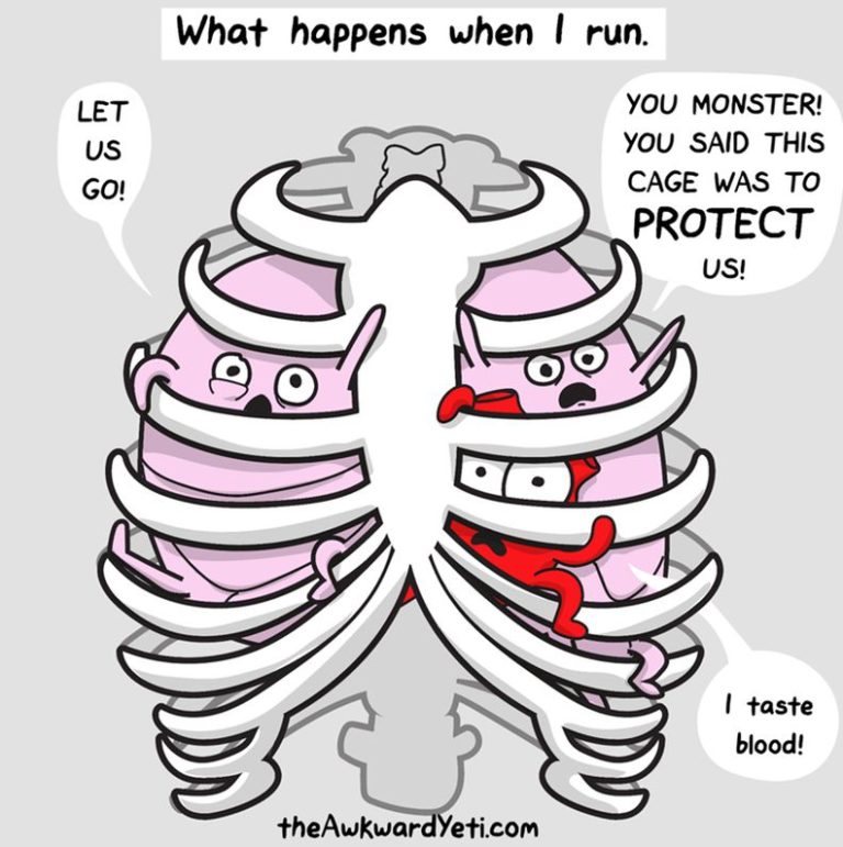 30 Cute Awkward Yeti Comics FunnyFoto Page 27