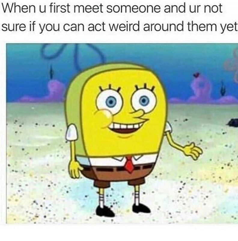 40 Spongebob Memes – FunnyFoto