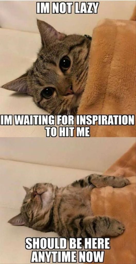 45 Funny Animal Pictures And Memes Funnyfoto Page 42