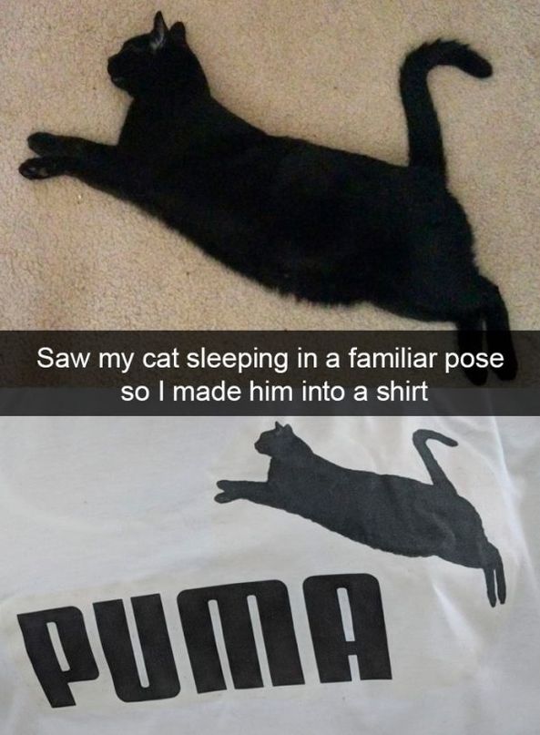 snapchat cat shirt